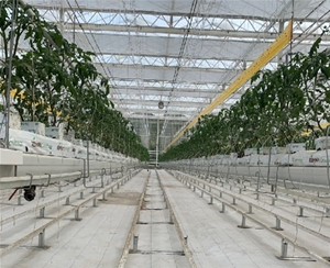 番茄等茄果类栽培槽种植系统